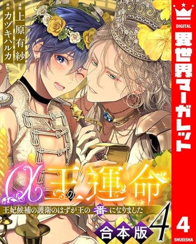 α王の運命～王妃候補の護衛のはずが王の番になりました～ 4