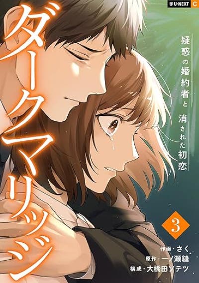 ダークマリッジ～疑惑の婚約者と消された初恋～ ３巻