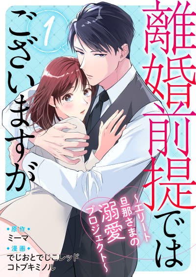 離婚前提ではございますが～エリート旦那さまの溺愛プロジェクト～