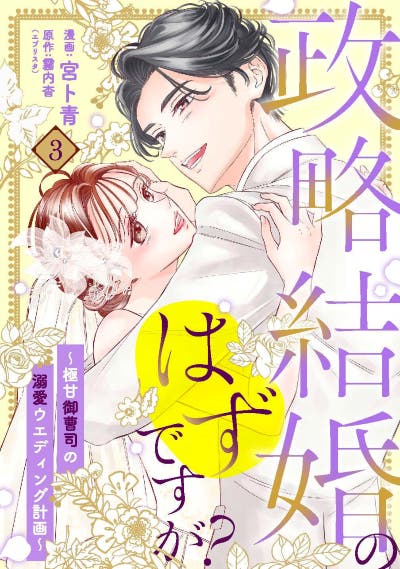 政略結婚のはずですが？ ～極甘御曹司の溺愛ウエディング計画～３