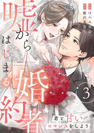 嘘からはじまる婚約者～君と甘いロマンスをしよう～ (3)