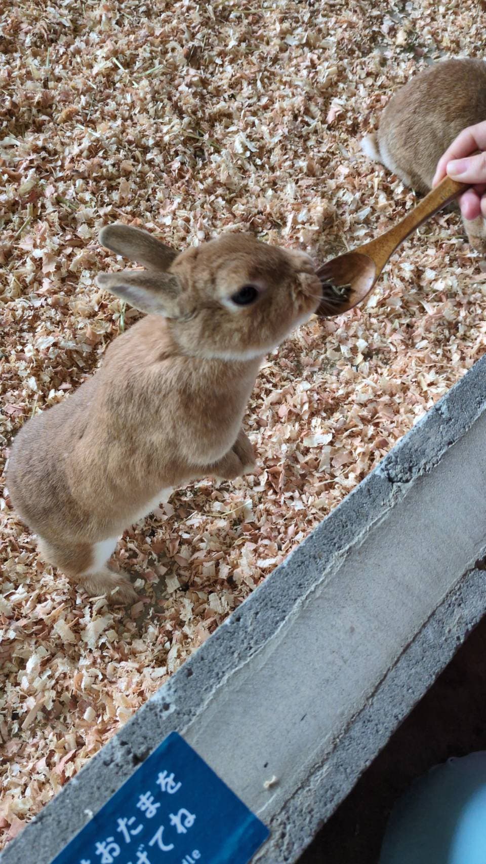 霞ヶ浦動物園