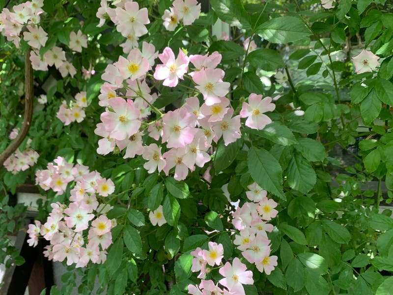 08056ab3-30d6-4a06-945e-8db3bc36defc
