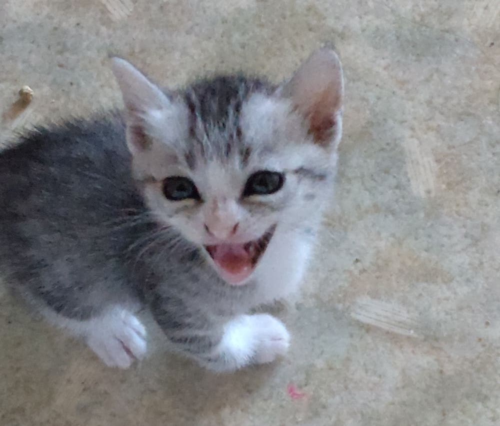 障害という言葉の重さを知る