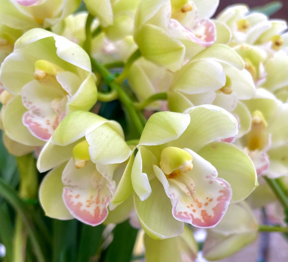 まっちゃんと歩けば VII …… 13045