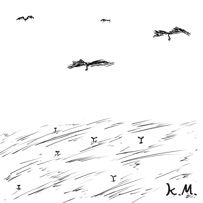 1156dba6-cf6c-40a0-a216-307a1b95a13a