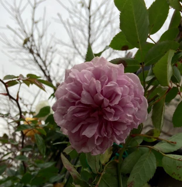 まっちゃんと歩けば… 2370