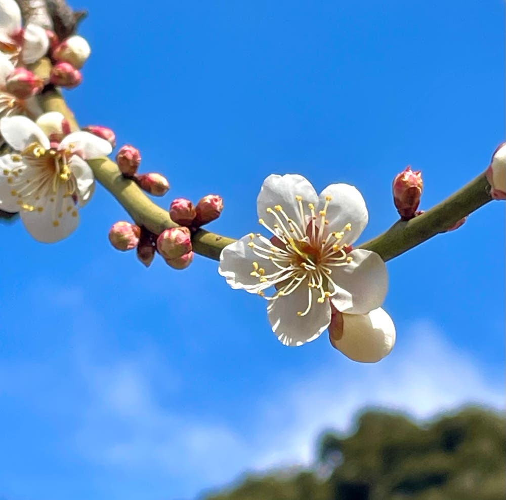 まっちゃんと歩けば VII …… 13141