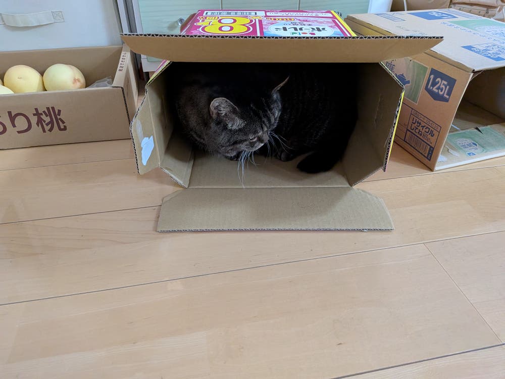 たま