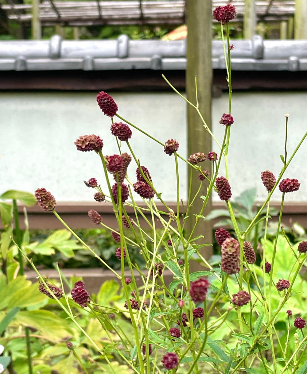 まっちゃんと歩けば VII …… 12925