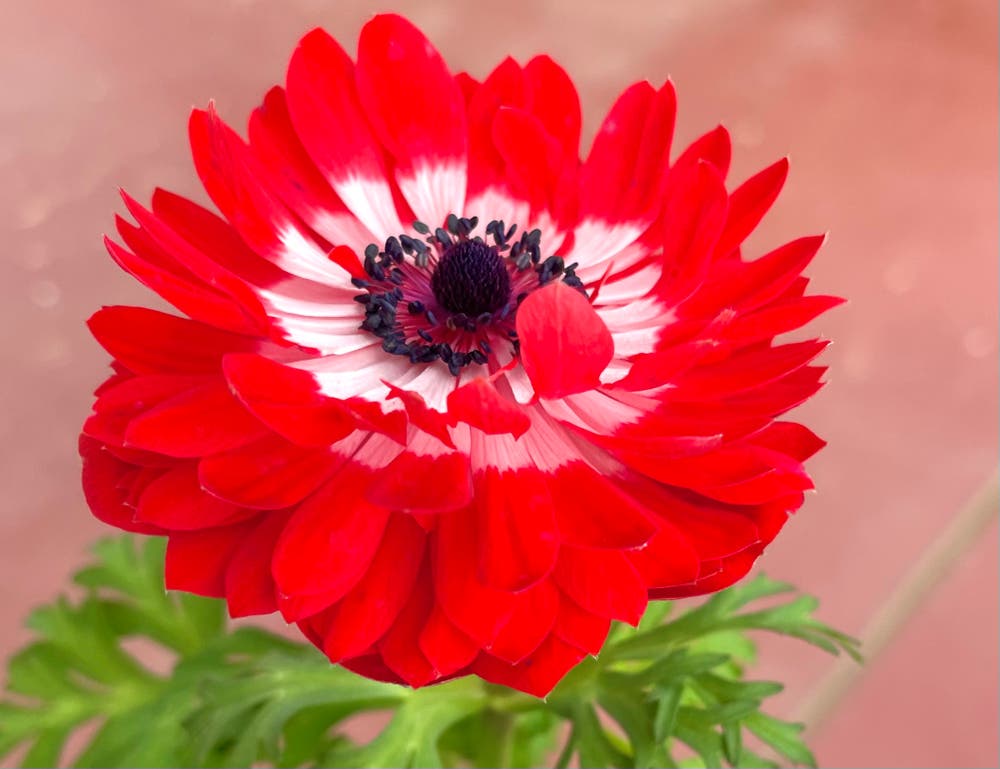 まっちゃんと歩けば VII …… 13030