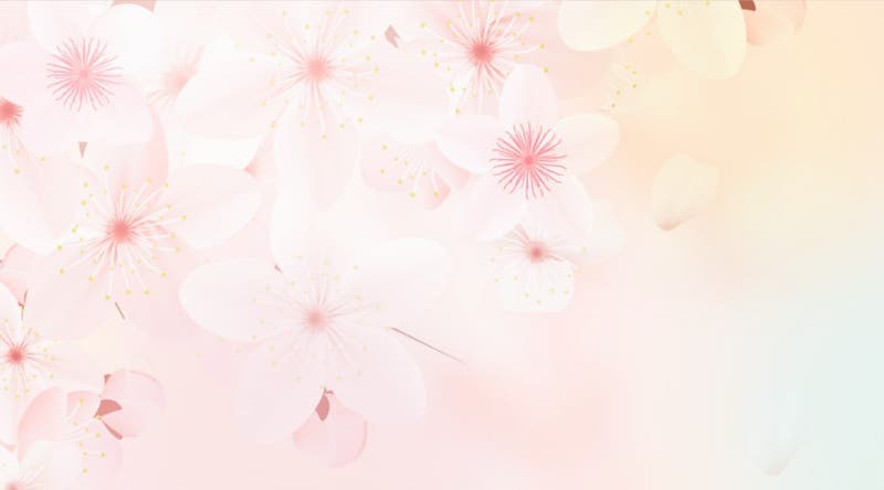24214c2f-94fe-41a2-8c97-2d3434eed5da