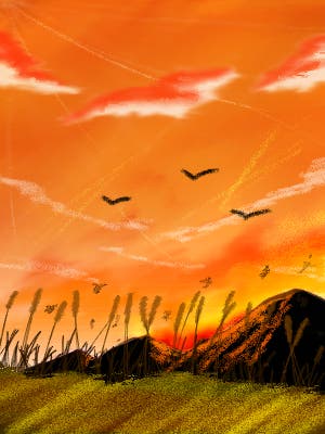 イラスト】秋風抜けるススキ野原の夕暮れ｜黒海月 - 小説投稿エブリスタ