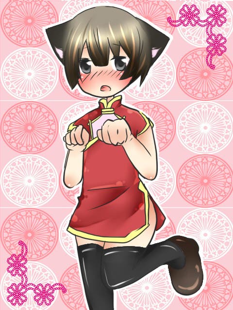 娘娘菊