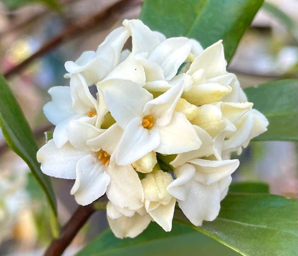 まっちゃんと歩けば VII …… 13177