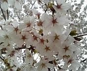 image=344243447.jpg