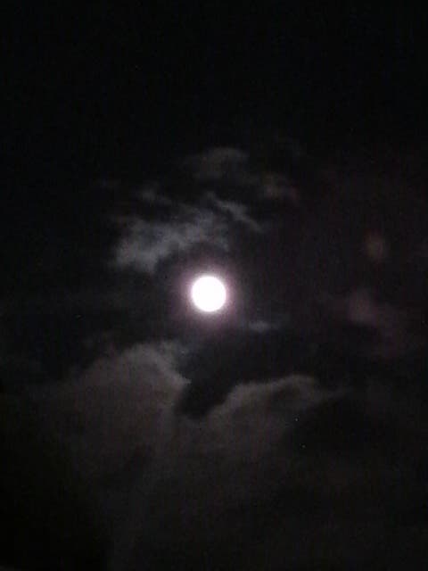 満月の夜