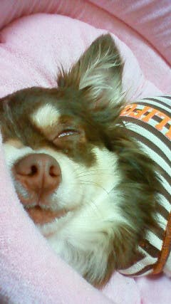 なんとも言えぬ顔ｗ