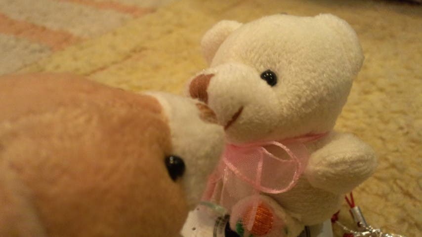 クマ❤CHU❤