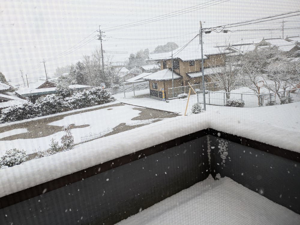 今日は雪