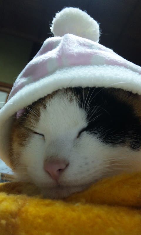 ねんねします