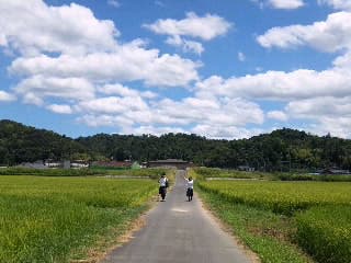 夏空