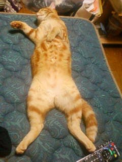 ﾙｲ⑤