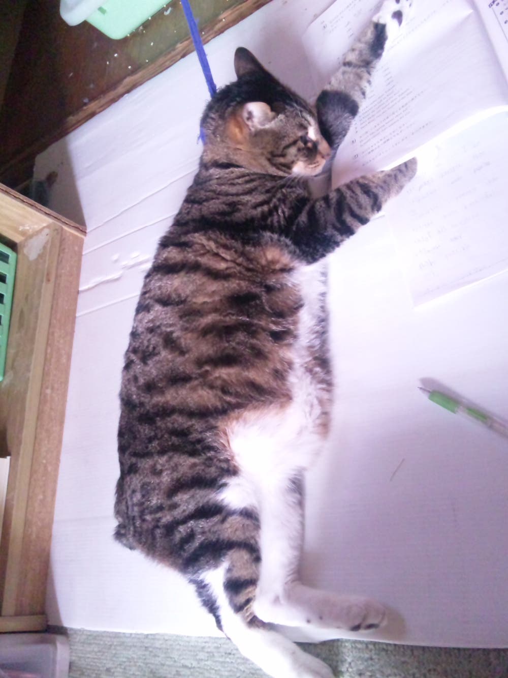 ぜ～んしん😌💡✨