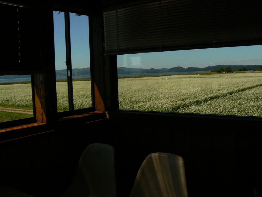 窓からの蕎麦畑。