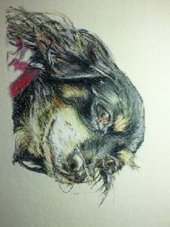 犬とかアップしてみる