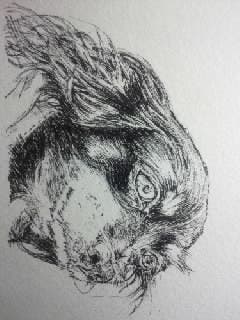 犬とか描いてみる色塗り前