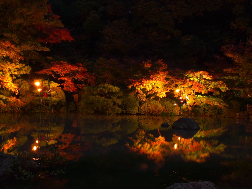 ☆夜の庭園２★