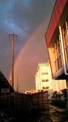 雨上がりの学校