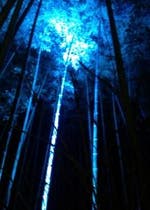 夢主 夢小説 おすすめの小説を無料で読む 作品一覧 夢主 夢小説 おすすめの小説を無料で読む 作品一覧
