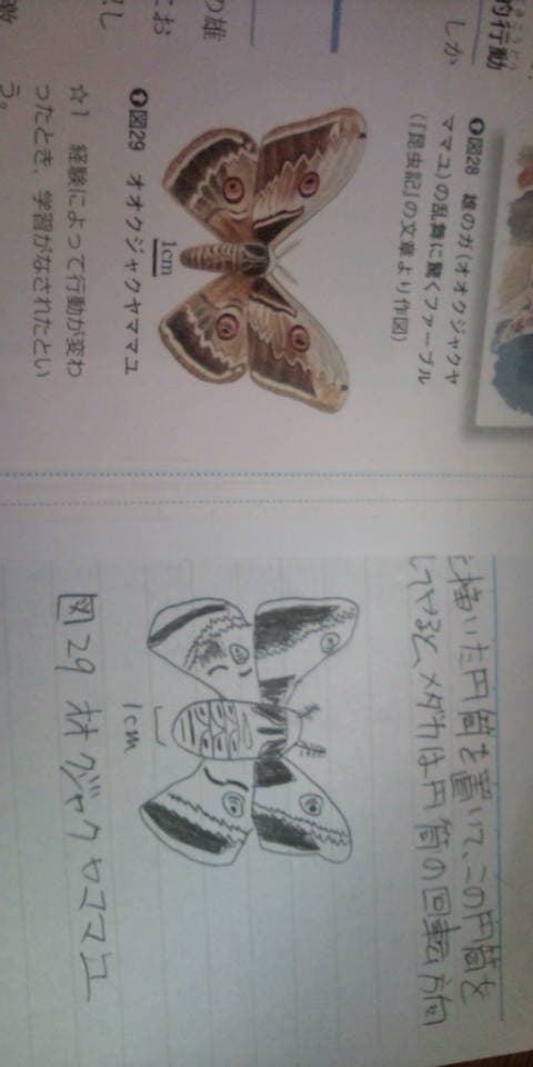 見て写したんだけど…