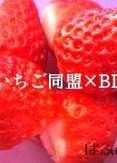 いちご同盟 Bl 恋愛小説 ばふぁりん 小説投稿エブリスタ いちご同盟 Bl 恋愛小説 ばふぁりん 小説投稿エブリスタ