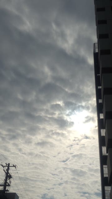 空を見上げて