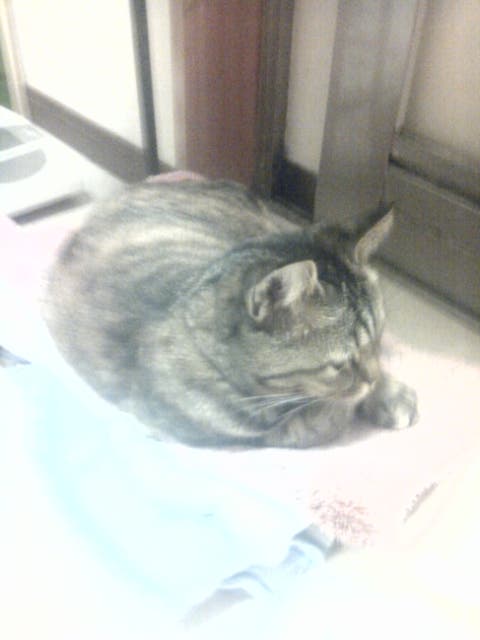 私待ーつーわ♪