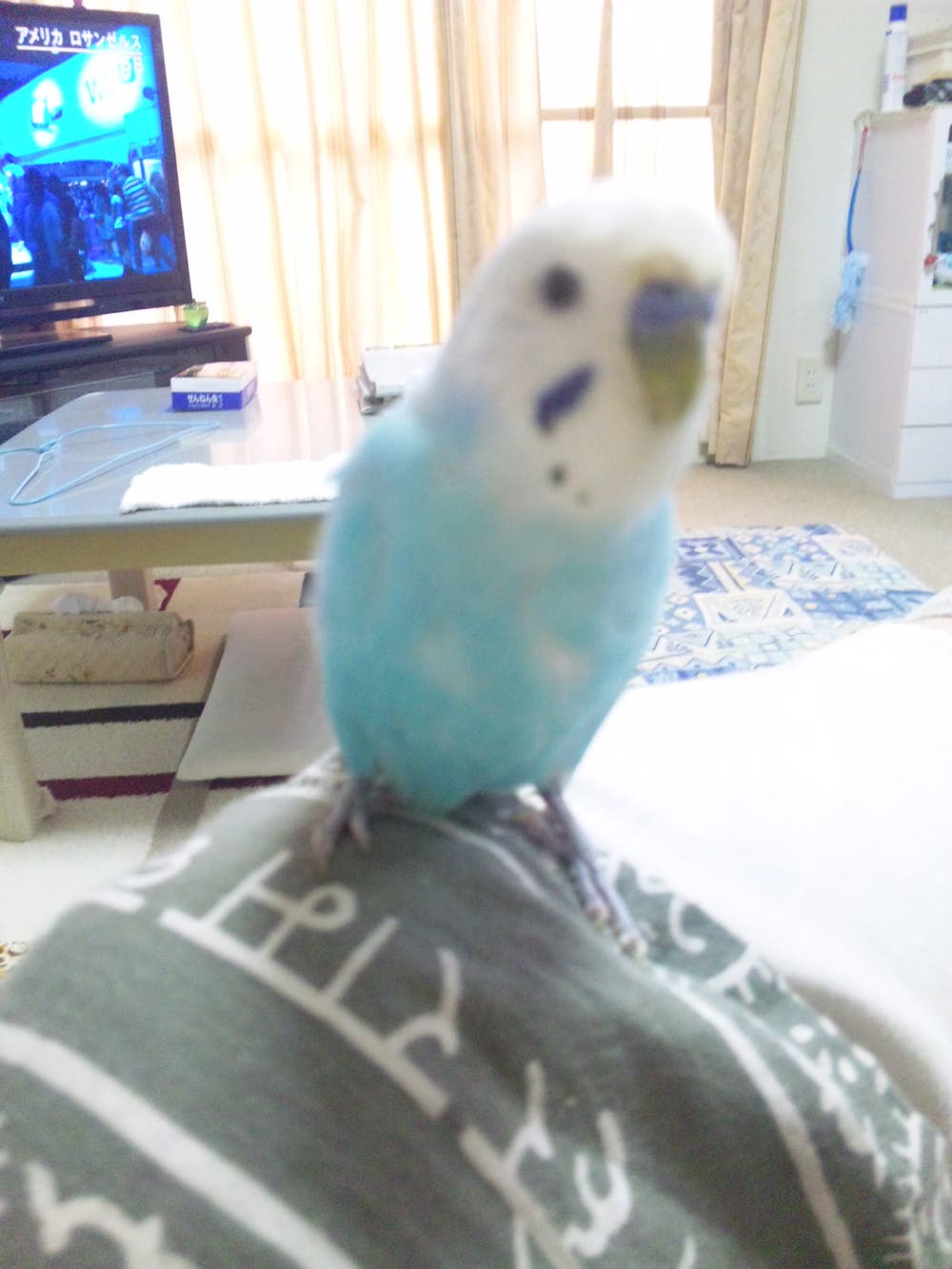 ぼーっとみいちゃん