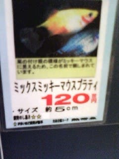 名前の中に、あの人気キャラクターが!?