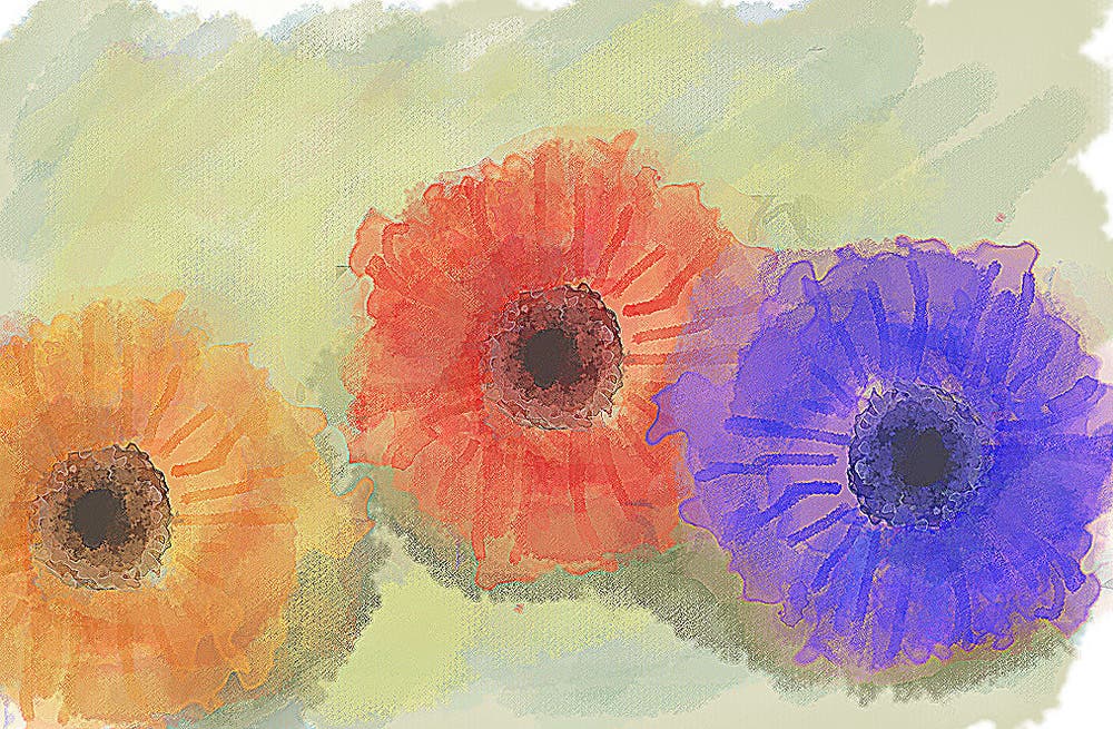 ガーベラたちの賑わい