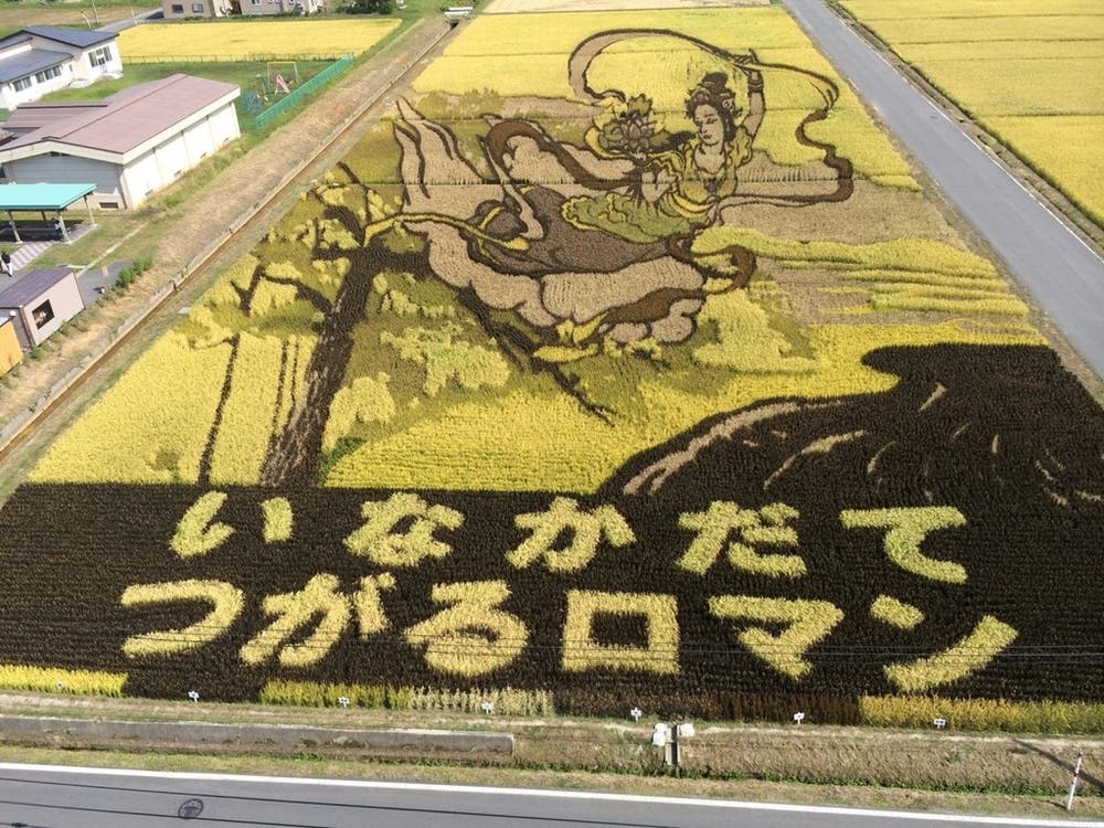 田んぼアート