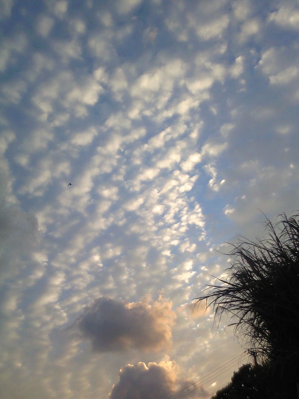 巻積雲
