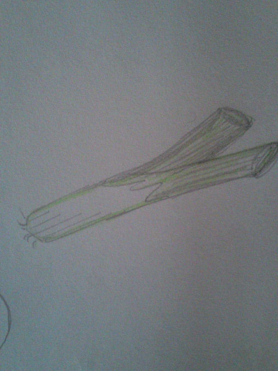 φ(-◎ω◎-)ﾎｫﾎｫ…