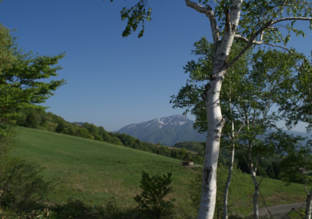奥越高原牧場