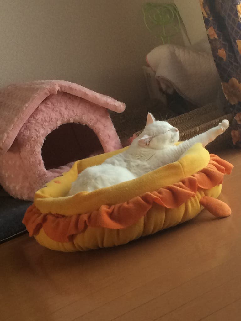 みなさんお元気ですか？