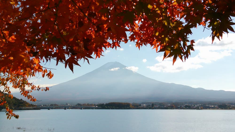 富士紅葉