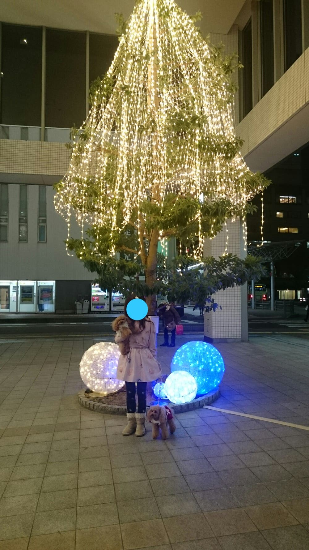 メリクリ♪U^ェ^U2015 two