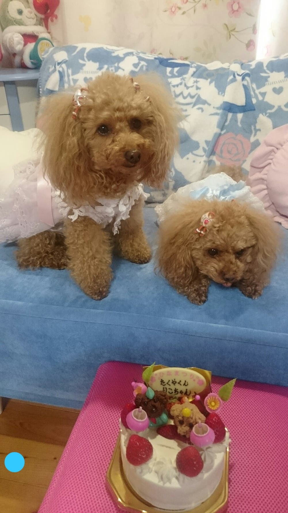 灯りをつけましょ♪に(*´ー｀*)