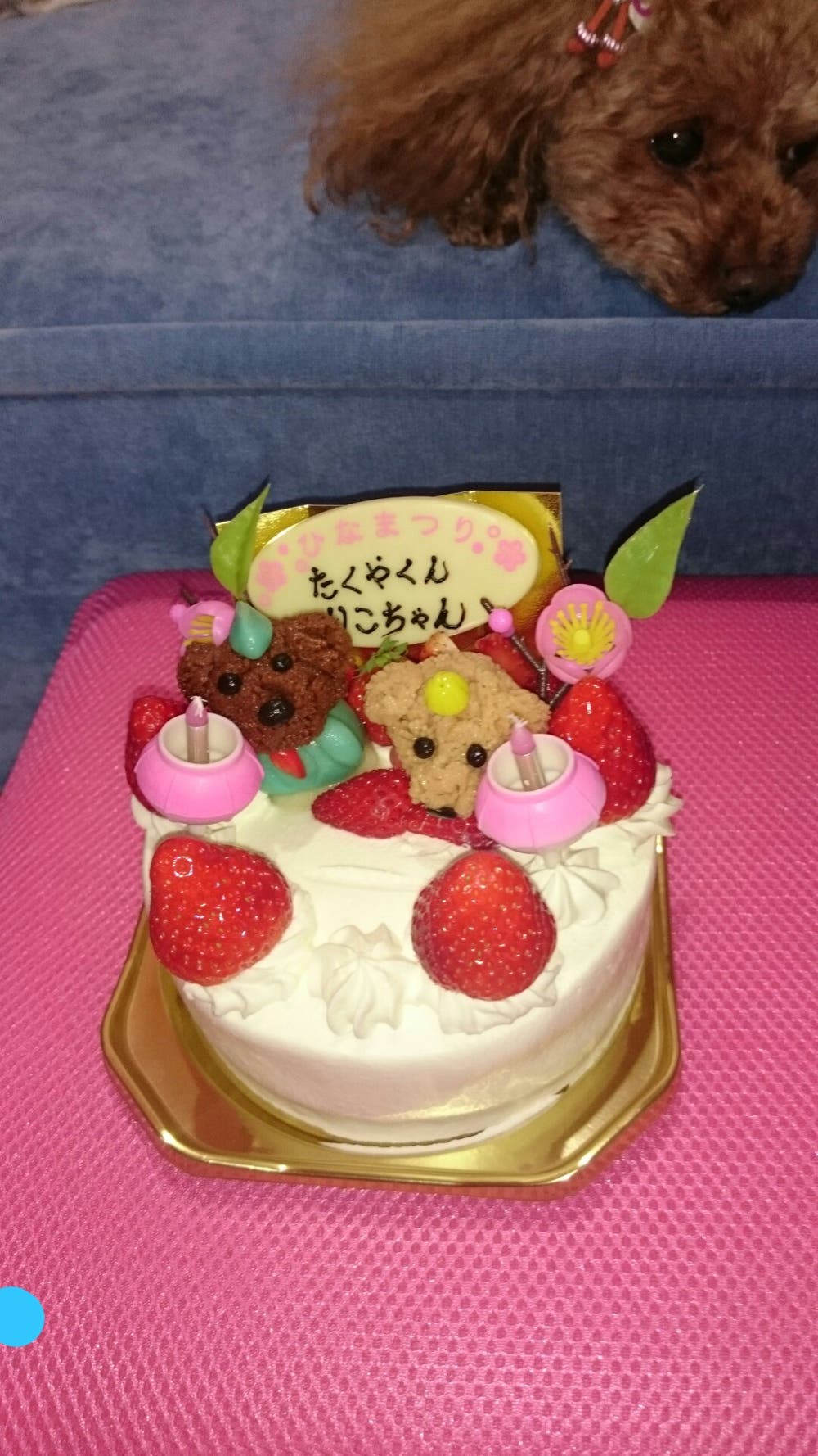 タクリコU^ェ^Uはぴばケーキ♪